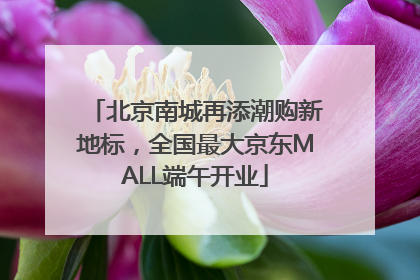 北京南城再添潮购新地标，全国最大京东MALL端午开业