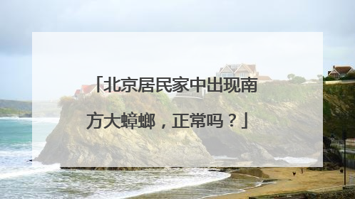 北京居民家中出现南方大蟑螂，正常吗？