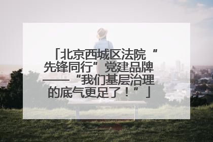 北京西城区法院“先锋同行”党建品牌——“我们基层治理的底气更足了！”