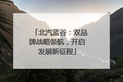 北汽蓝谷：双品牌战略领航，开启发展新征程
