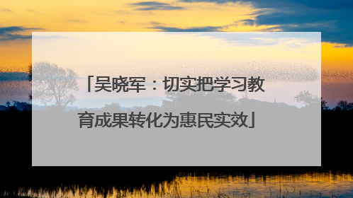 吴晓军：切实把学习教育成果转化为惠民实效