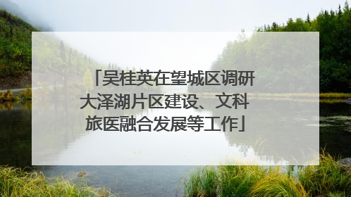 吴桂英在望城区调研大泽湖片区建设、文科旅医融合发展等工作