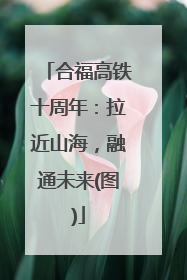 合福高铁十周年：拉近山海，融通未来(图)