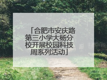 合肥市安庆路第三小学大杨分校开展校园科技周系列活动