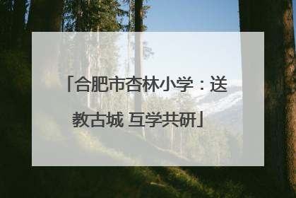 合肥市杏林小学：送教古城 互学共研