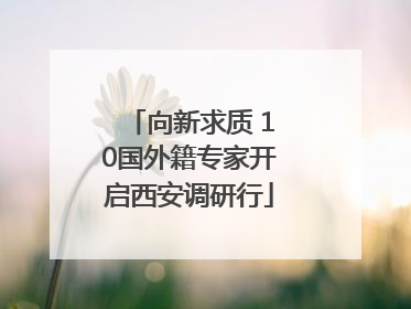 向新求质 10国外籍专家开启西安调研行
