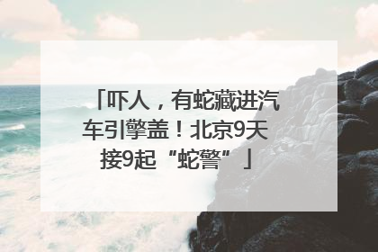吓人，有蛇藏进汽车引擎盖！北京9天接9起“蛇警”