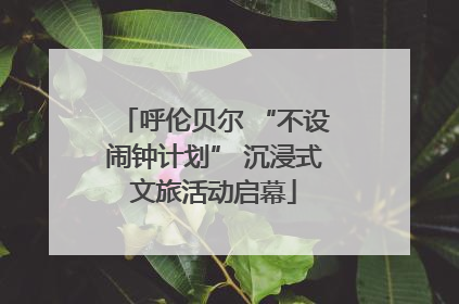 呼伦贝尔 “不设闹钟计划” 沉浸式文旅活动启幕
