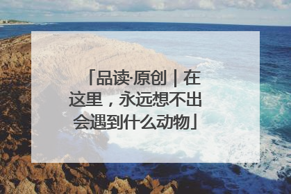 品读·原创｜在这里，永远想不出会遇到什么动物
