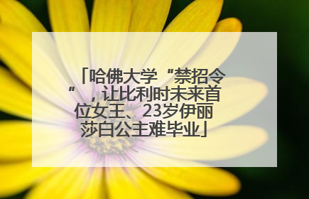 哈佛大学“禁招令”，让比利时未来首位女王、23岁伊丽莎白公主难毕业