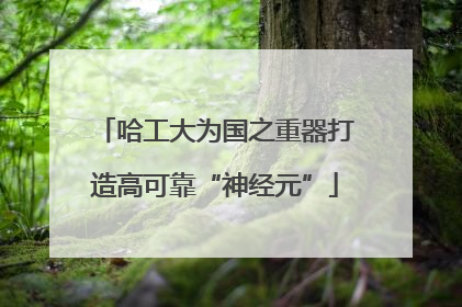 哈工大为国之重器打造高可靠“神经元”