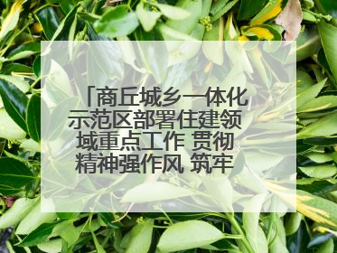 商丘城乡一体化示范区部署住建领域重点工作 贯彻精神强作风 筑牢民生底线促发展