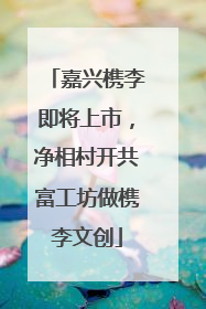 嘉兴槜李即将上市，净相村开共富工坊做槜李文创