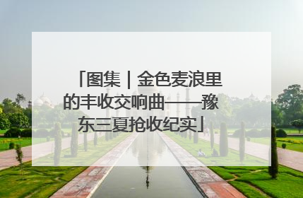 图集｜金色麦浪里的丰收交响曲——豫东三夏抢收纪实