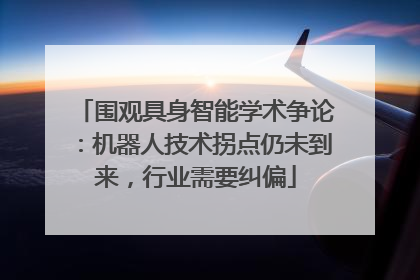 围观具身智能学术争论：机器人技术拐点仍未到来，行业需要纠偏