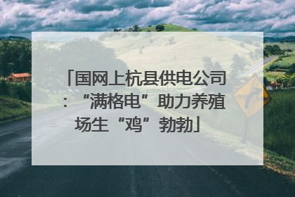 国网上杭县供电公司：“满格电”助力养殖场生“鸡”勃勃