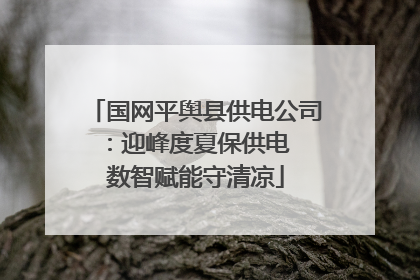 国网平舆县供电公司：迎峰度夏保供电  数智赋能守清凉