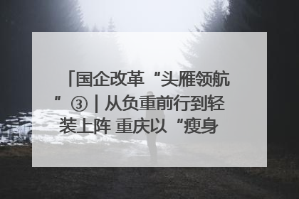 国企改革“头雁领航”③｜从负重前行到轻装上阵 重庆以“瘦身”谋“健体”