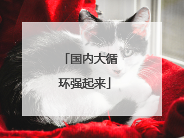国内大循环强起来