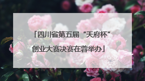 四川省第五届“天府杯”创业大赛决赛在蓉举办