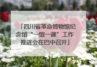 四川省革命博物馆纪念馆“一馆一课”工作推进会在巴中召开