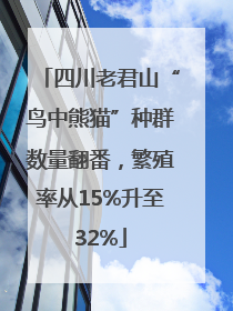 四川老君山“鸟中熊猫”种群数量翻番，繁殖率从15%升至32%