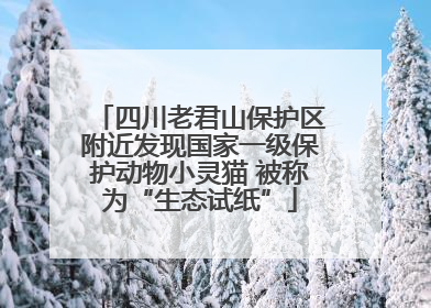 四川老君山保护区附近发现国家一级保护动物小灵猫 被称为“生态试纸”