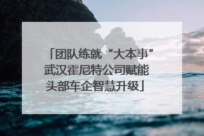 团队练就“大本事” 武汉霍尼特公司赋能头部车企智慧升级