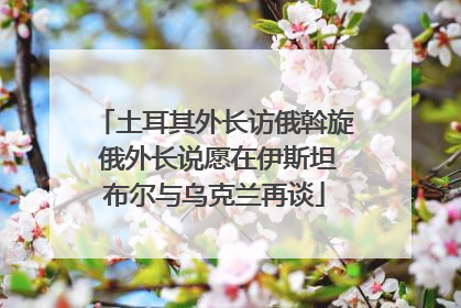 土耳其外长访俄斡旋 俄外长说愿在伊斯坦布尔与乌克兰再谈