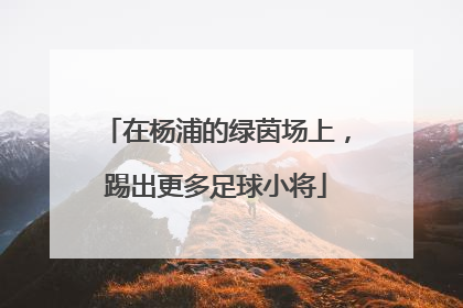 在杨浦的绿茵场上，踢出更多足球小将
