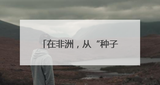 在非洲，从“种子”到“杯子”的遥远距离——一颗咖啡豆的前世今生（三）