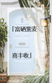 富硒紫麦喜丰收