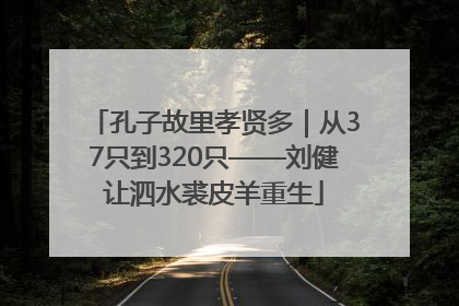 孔子故里孝贤多｜从37只到320只——刘健让泗水裘皮羊重生