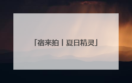 宿来拍丨夏日精灵