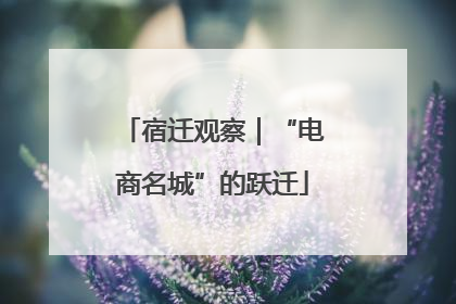 宿迁观察｜“电商名城”的跃迁