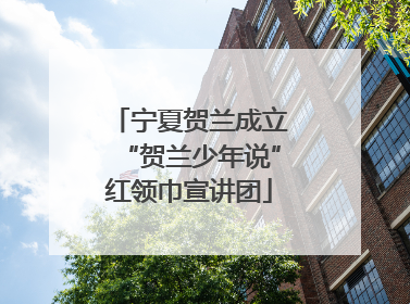 宁夏贺兰成立“贺兰少年说”红领巾宣讲团