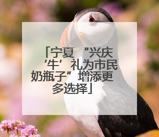 宁夏 “兴庆‘牛’礼为市民奶瓶子”增添更多选择