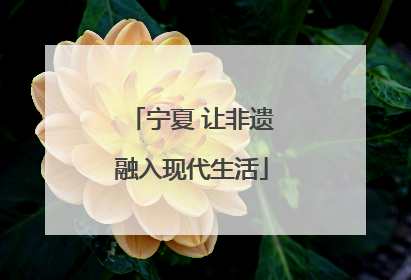 宁夏 让非遗融入现代生活