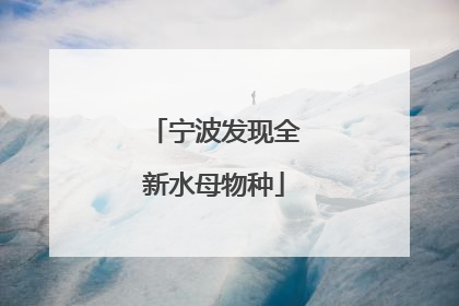宁波发现全新水母物种