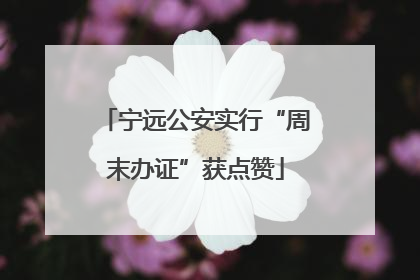 宁远公安实行“周末办证”获点赞