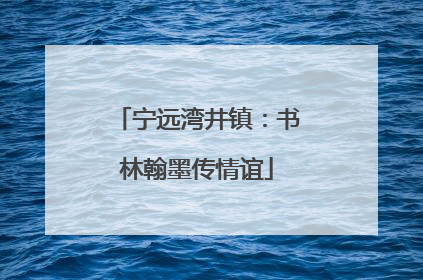 宁远湾井镇：书林翰墨传情谊