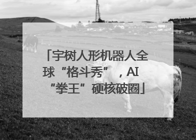 宇树人形机器人全球“格斗秀”，AI“拳王”硬核破圈