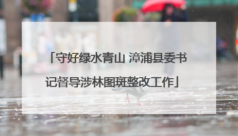 守好绿水青山 漳浦县委书记督导涉林图斑整改工作