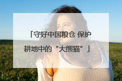 守好中国粮仓 保护耕地中的“大熊猫”