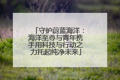 守护蔚蓝海洋：海洋至尊与青年携手用科技与行动之力托起纯净未来