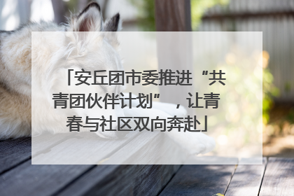 安丘团市委推进“共青团伙伴计划”，让青春与社区双向奔赴