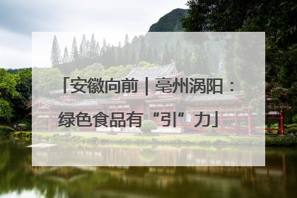 安徽向前｜亳州涡阳：绿色食品有“引”力