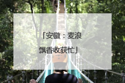 安徽：麦浪飘香收获忙