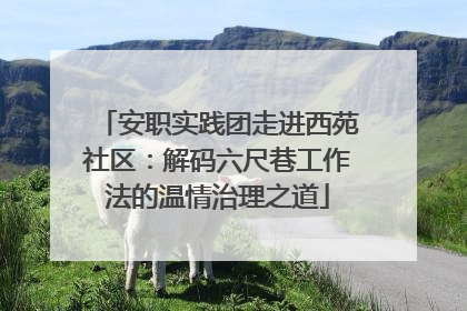 安职实践团走进西苑社区：解码六尺巷工作法的温情治理之道