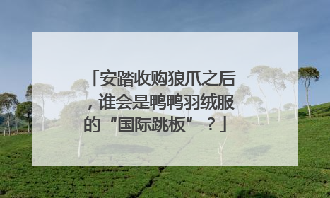 安踏收购狼爪之后，谁会是鸭鸭羽绒服的“国际跳板”？